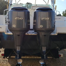 Wellcraft 290 Coastal