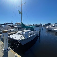 Endeavour Intercat 1500