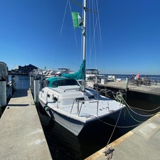 Endeavour Intercat 1500