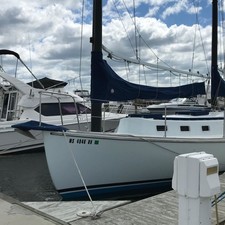 Freedom 40 cat ketch