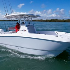 Twin Vee 260 STX
