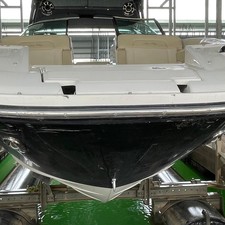 Sea Ray 260 Sundeck
