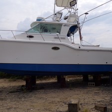 Baha cruisers 296 king cat