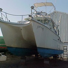 Baha cruisers 296 king cat