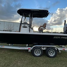 Sea Ray pro 208 bay