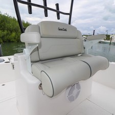 Sea Ray cat 26