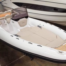 Salpa Gran Soleil 23