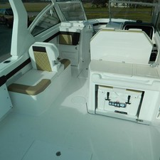 EdgeWater 262CX
