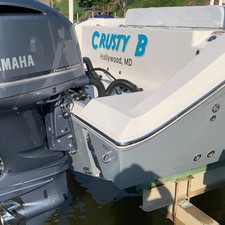 Cobia 217 center console