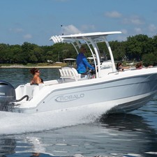 Robalo R222 Explorer