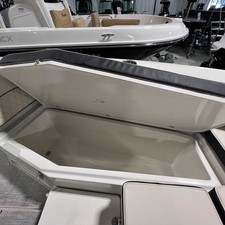 Stingray 236CC
