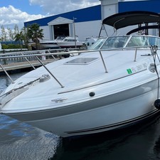 Sea Ray 260 Sundancer