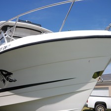 Hydra-sports 2800 vector wa