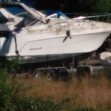 Wellcraft 3000 Martinique