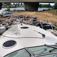 Wellcraft 3000 Martinique