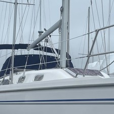 Catalina 350
