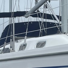 Catalina 350