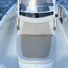 Boston Whaler 270 Dauntless