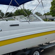 Splendor 240 cuddy cabin