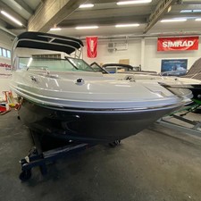 Sea Ray SDX 250