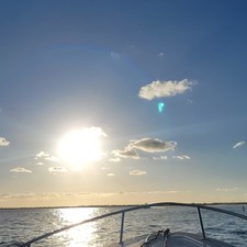 Scout 175 Sport Dorado