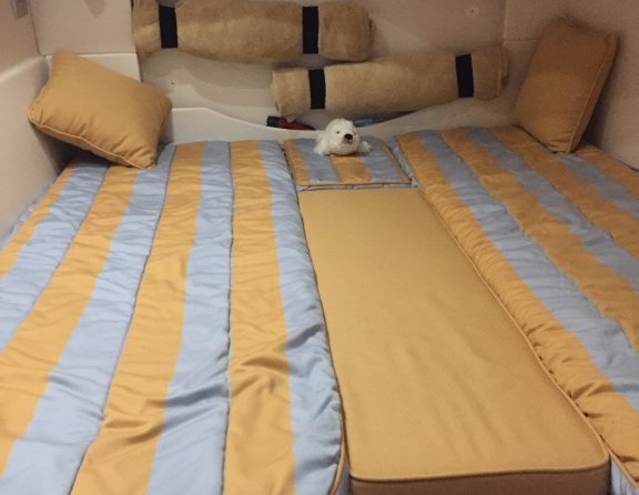 Blu martin 58 feet open