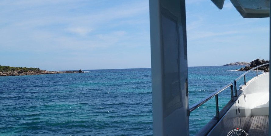 Beneteau Swift Trawler 50