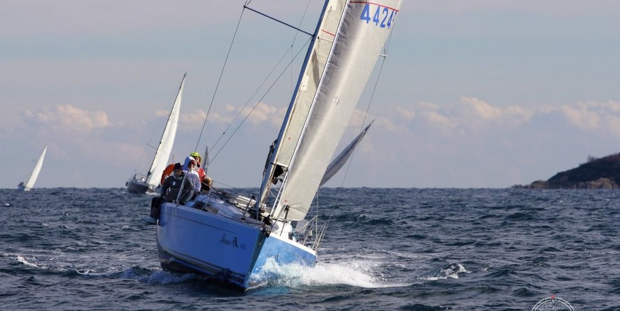 Hanse 315