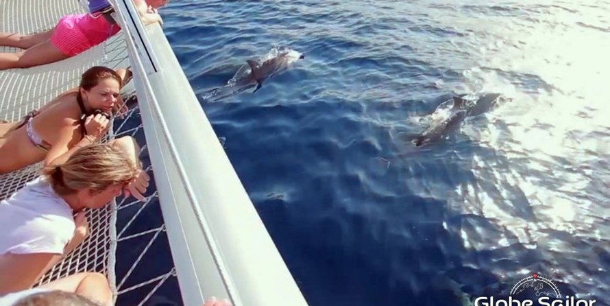 Fountaine Pajot Salina 48