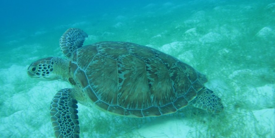 Fountaine Pajot Astréa 42