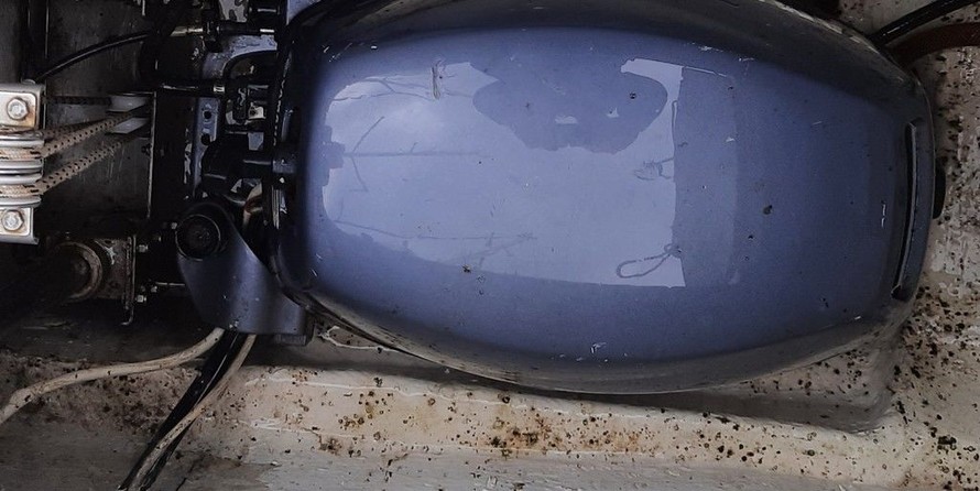 Solina 800 (Джаз (Jazz))