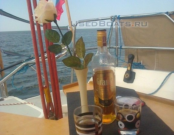 Solina 800 (Джаз (Jazz))