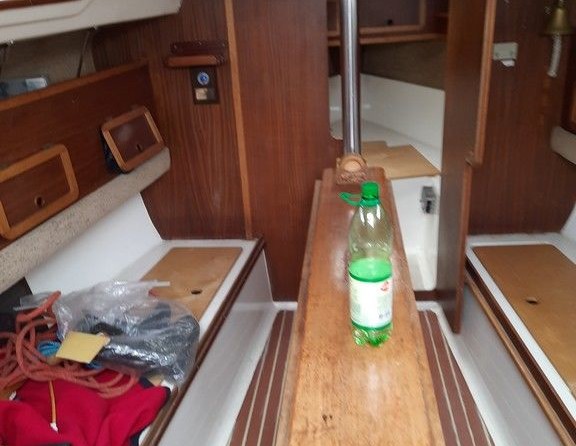 Solina 800 (Джаз (Jazz))