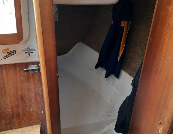 Solina 800 (Джаз (Jazz))