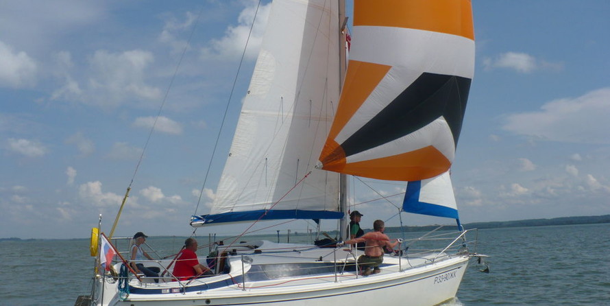 Solina 800 (Джаз (Jazz))