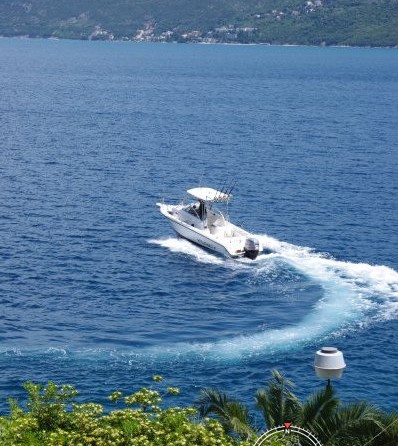 Century 2300 Walk-Around