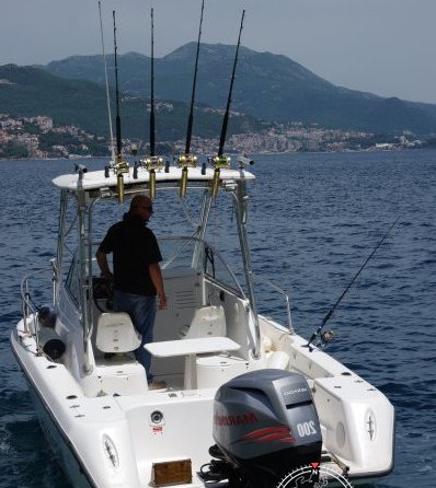 Century 2300 Walk-Around