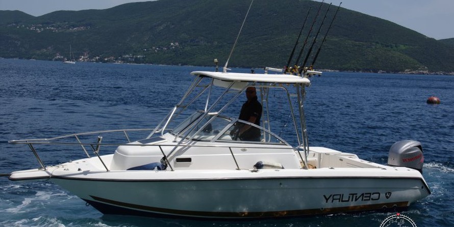 Century 2300 Walk-Around