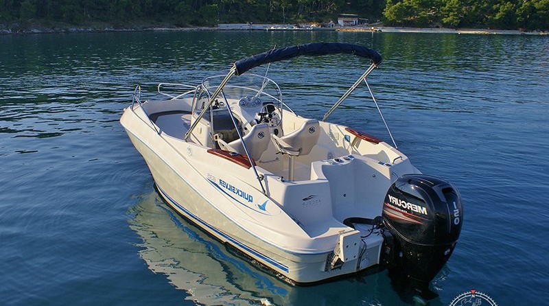 Quicksilver 635 Commander