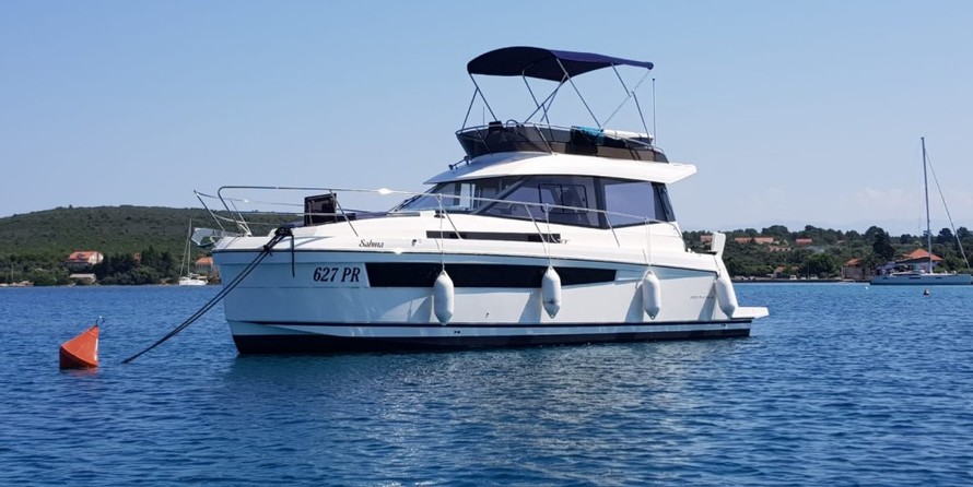 Delphia Platinium 989 Fly