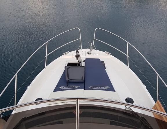 Delphia Platinium 989 Fly