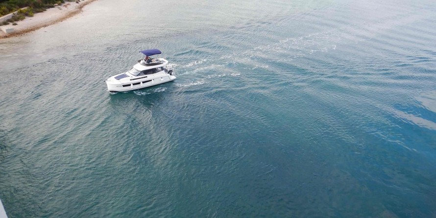 Delphia Platinium 989 Fly