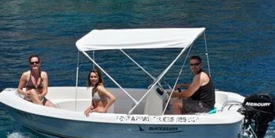 Quicksilver 410 Fish