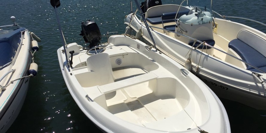 Quicksilver 410 Fish