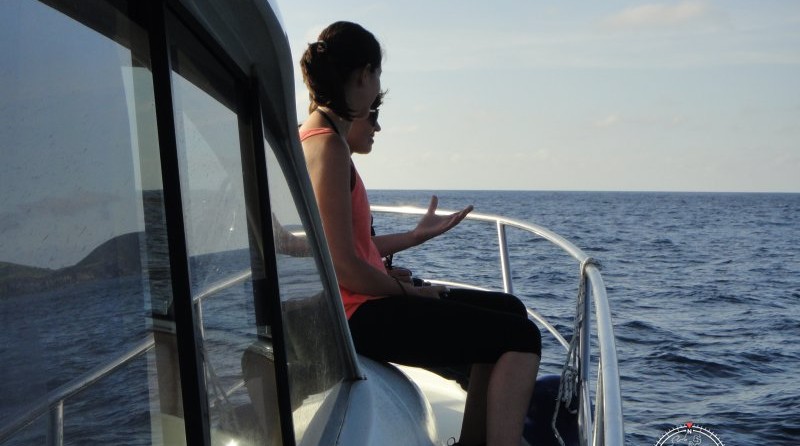 Starfisher 34 Cruiser