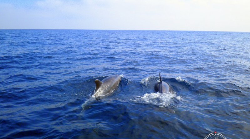 Jeanneau Sun Fast 37