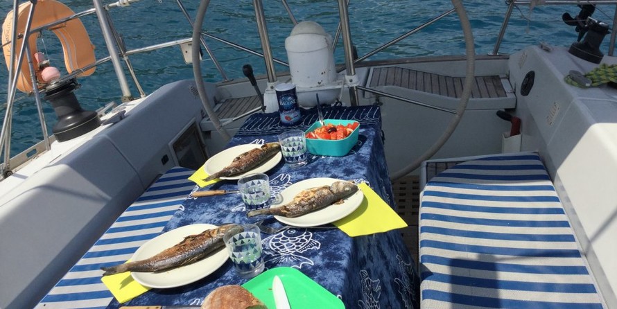 Alliaura Marine Feeling 446