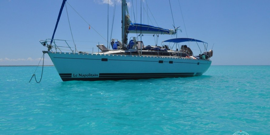 Alliaura Marine Feeling 446