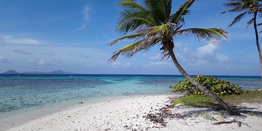 Alliaura Marine Feeling 446