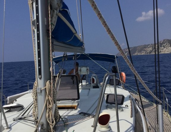 Alliaura Marine Feeling 446